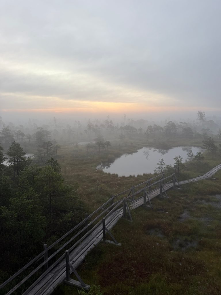 Kemeri bog boardwalk