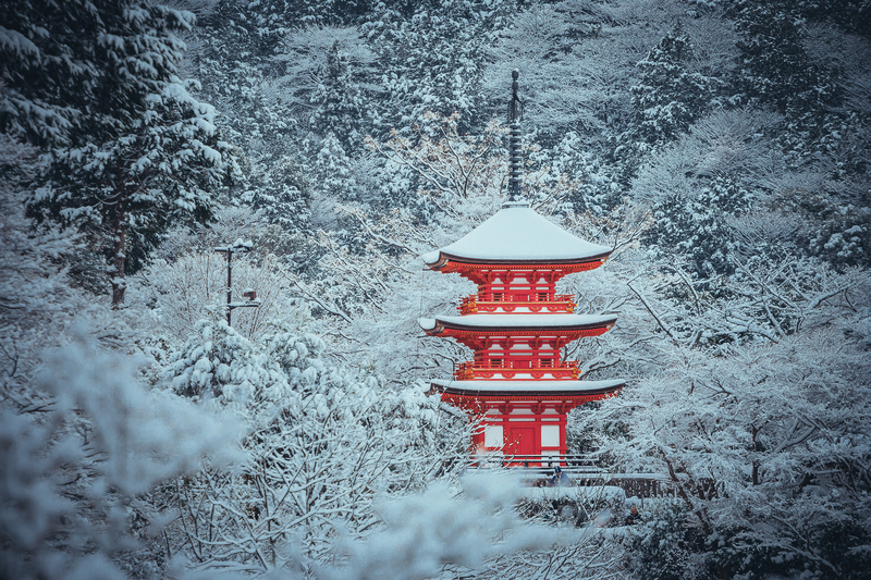 Kiyomizu-dera Temple View at Winter - Winter Solo Holidays