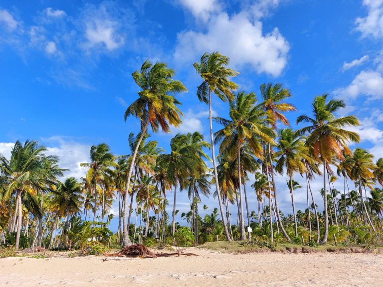 Las Terrenas
