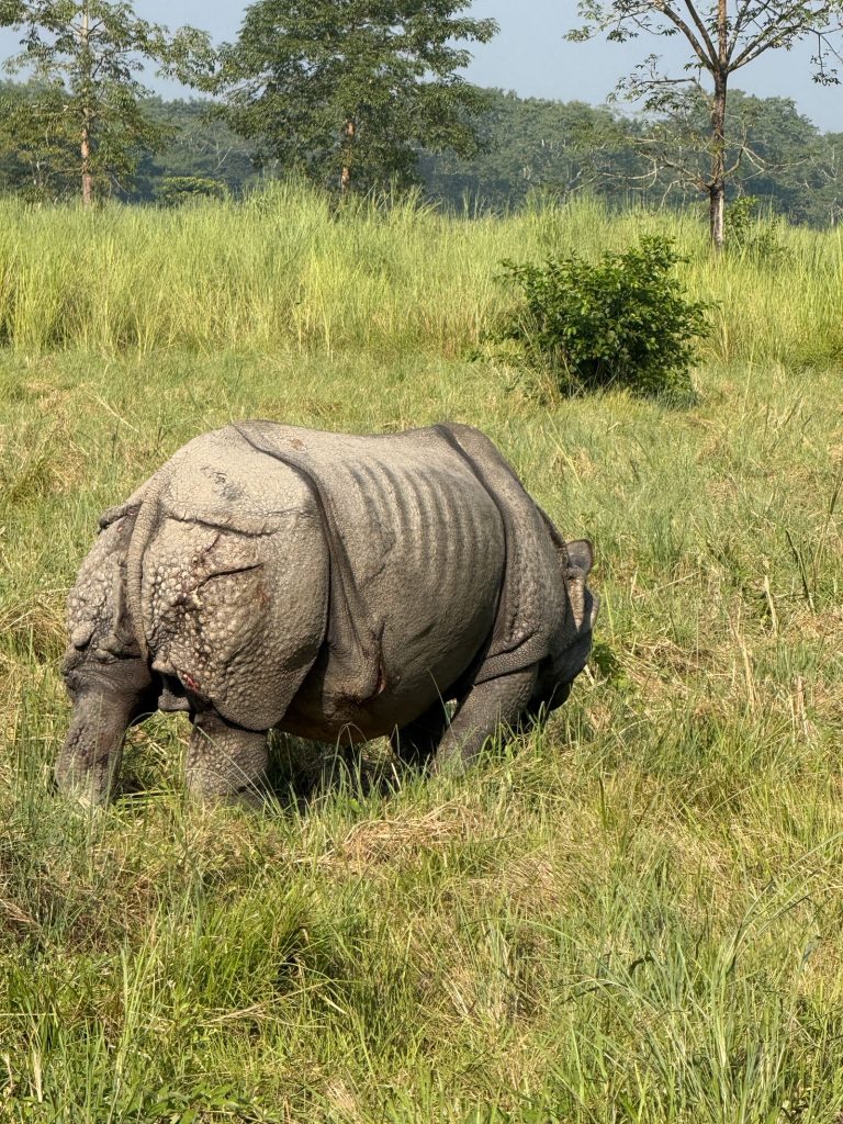 Chitwan