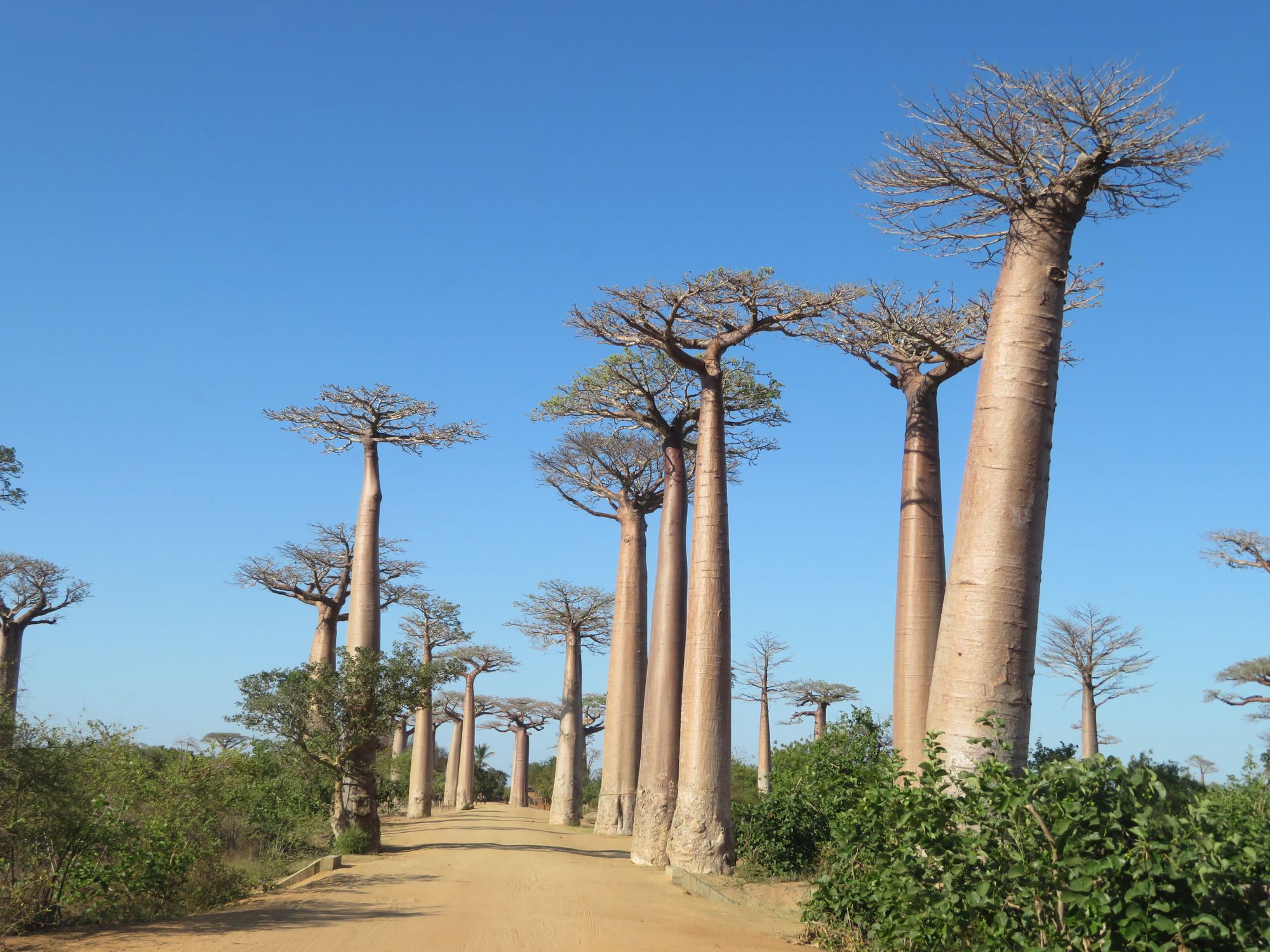 Madagascar