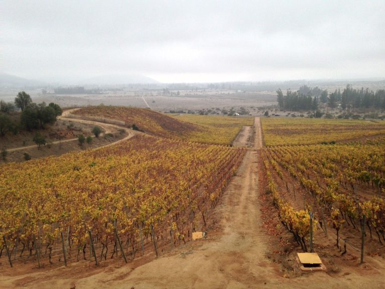 Maipo and Casablanca wine valleys