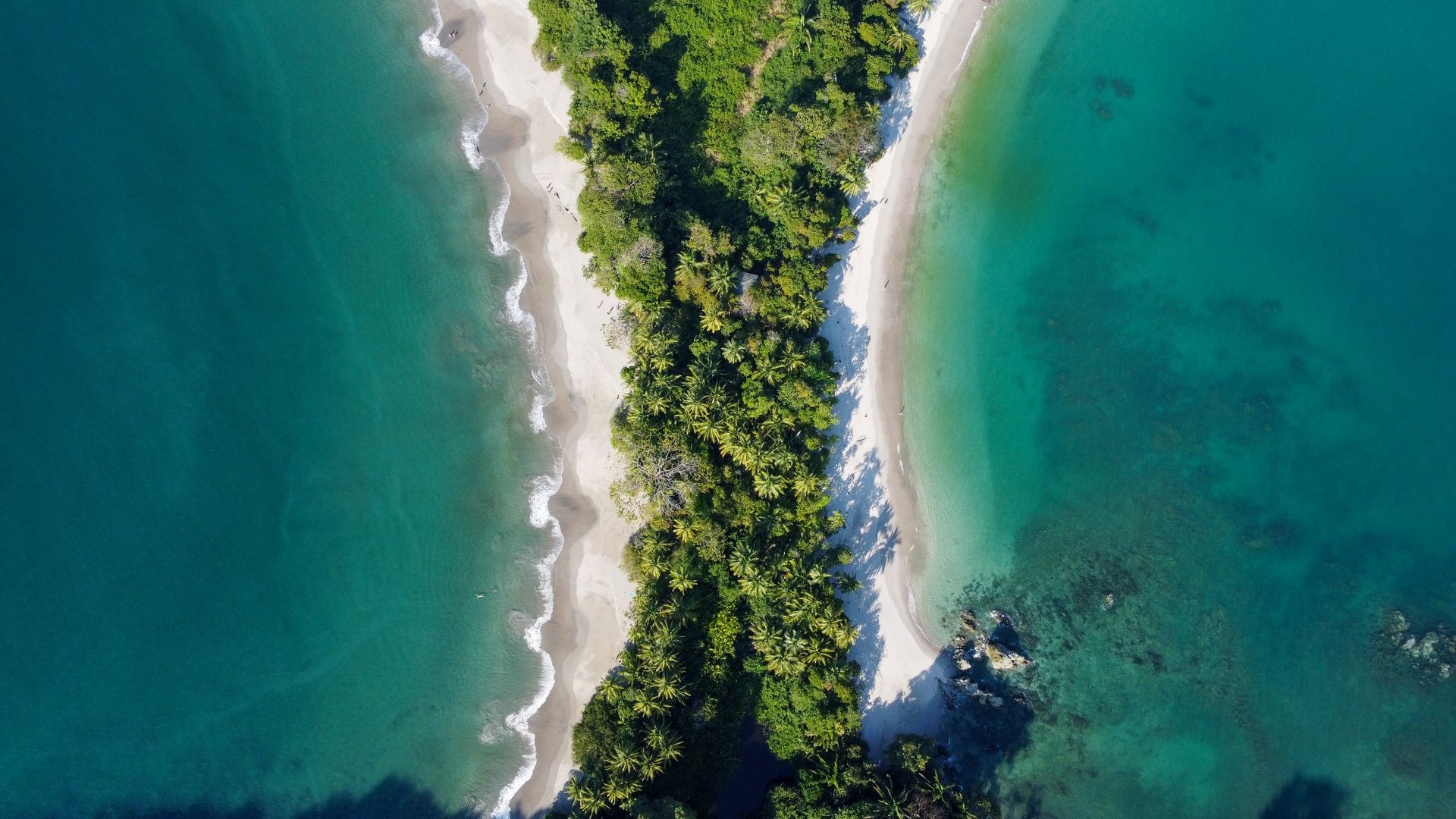 Manuel Antonio