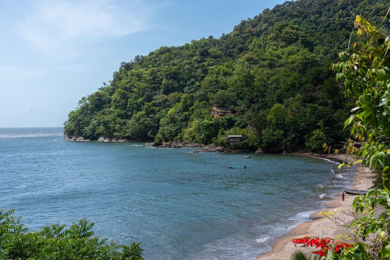 Maracas Bay
