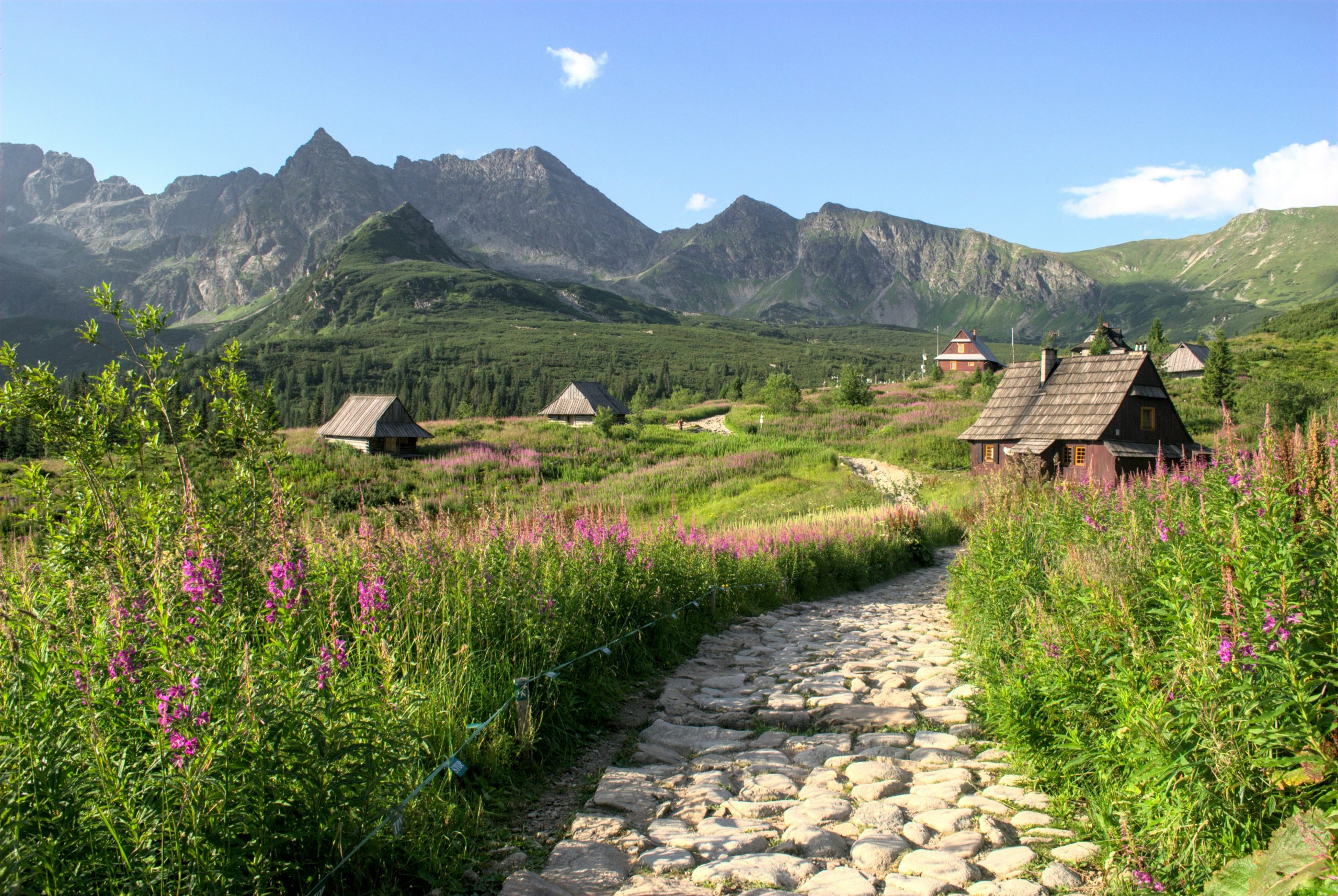 Zakopane