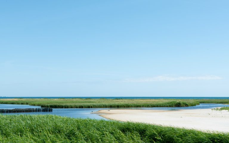 Falsterbo