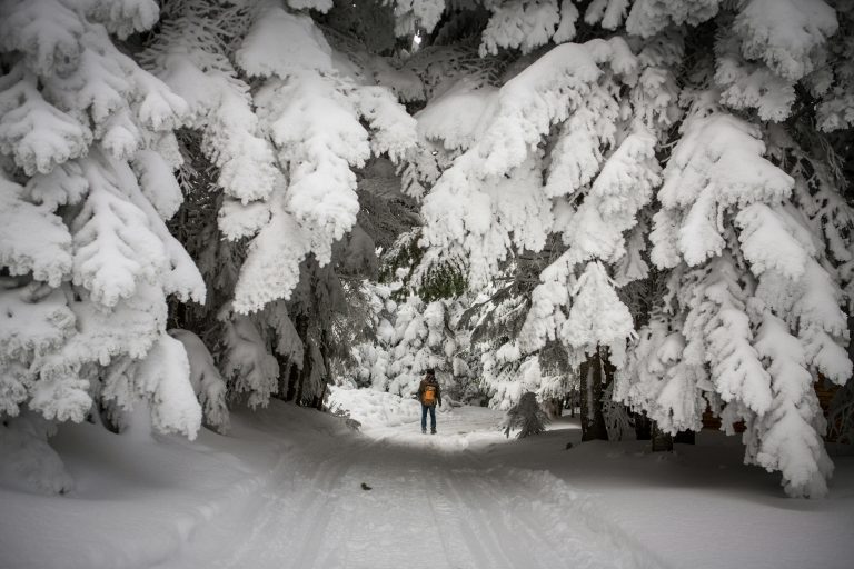 Ski season