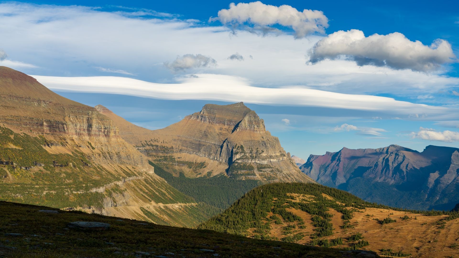 Montana