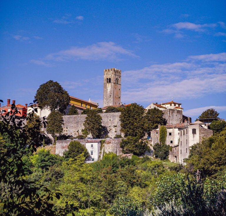 Motovun and the truffle forest