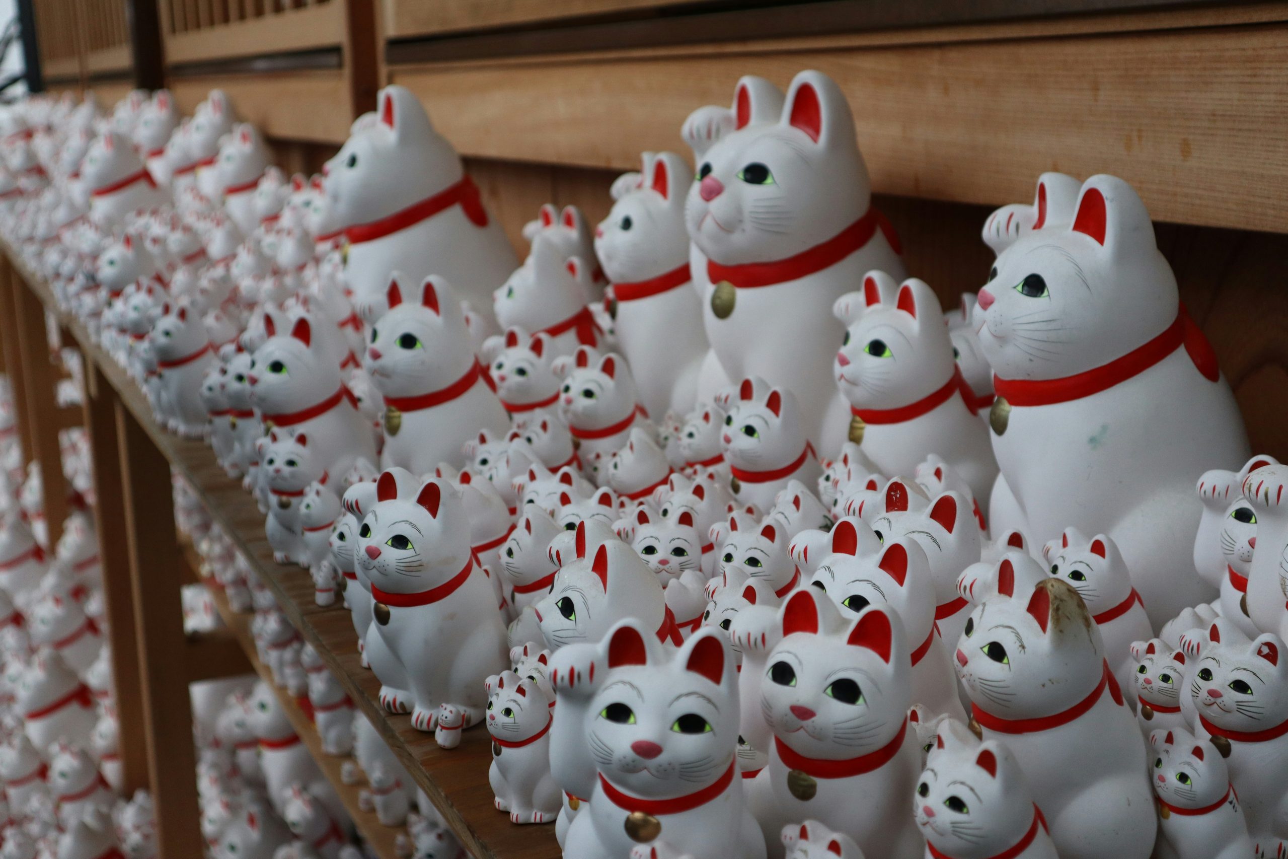Gotokuji Temple hidden gems in tokyo