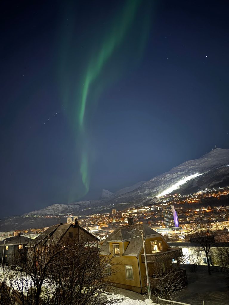 Northern lights tour