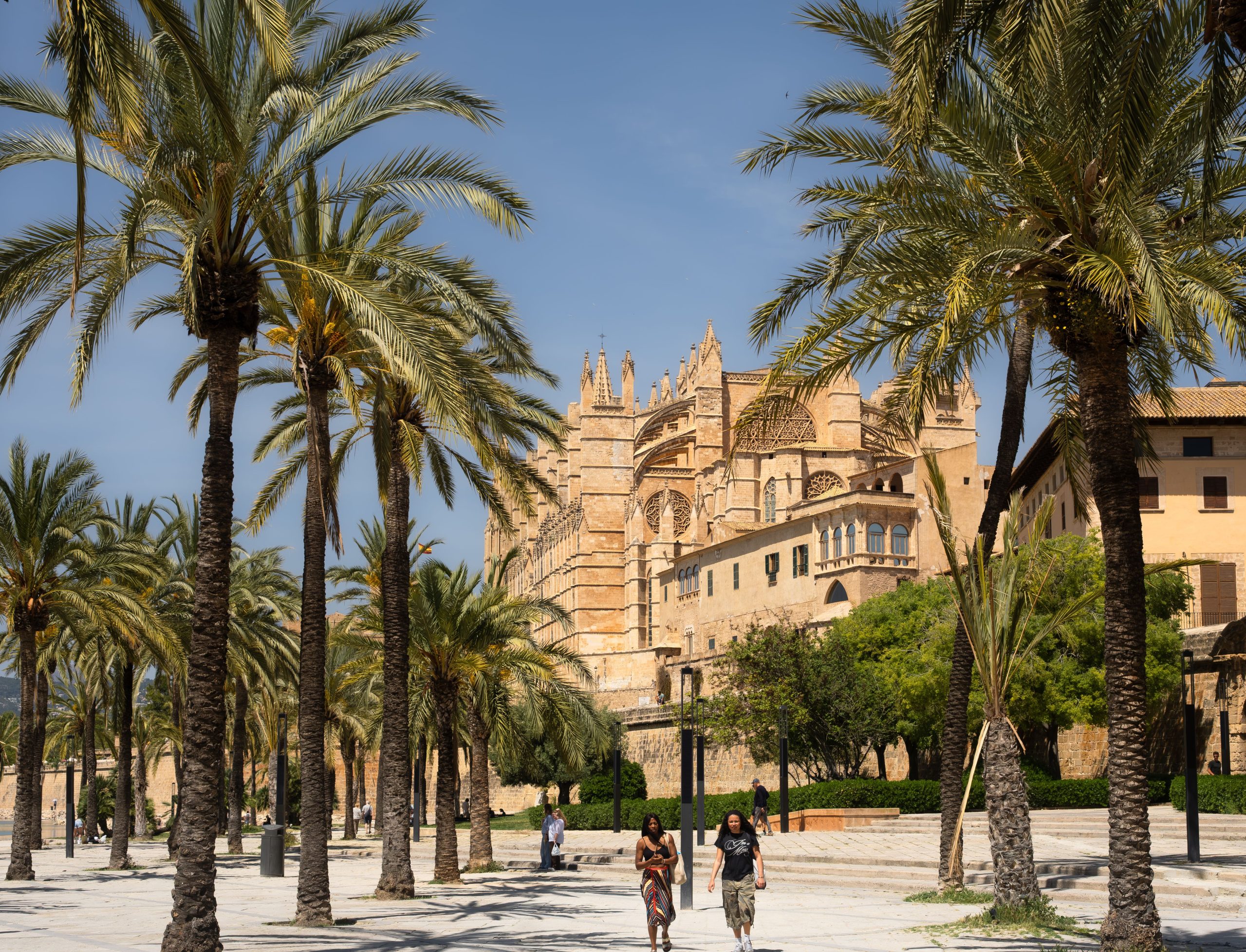 Palma