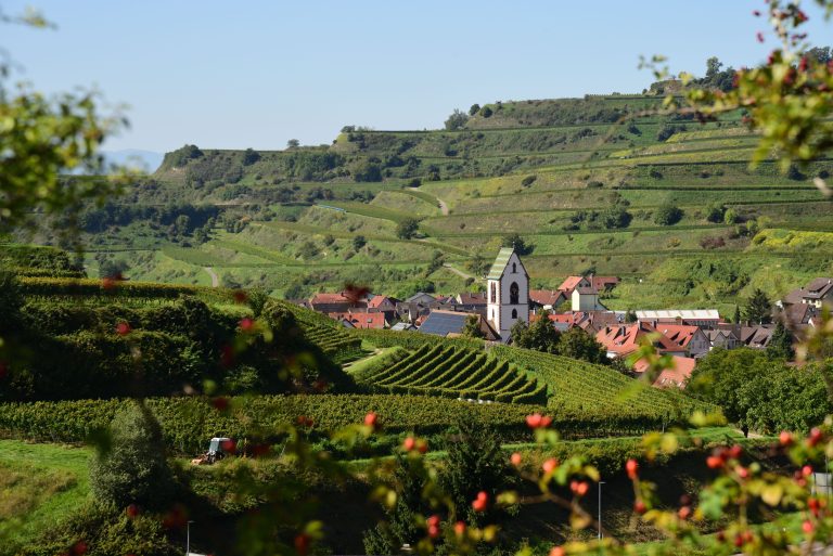 Kaiserstuhl