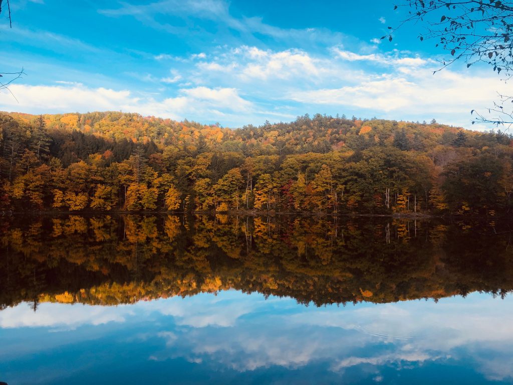 Vermont