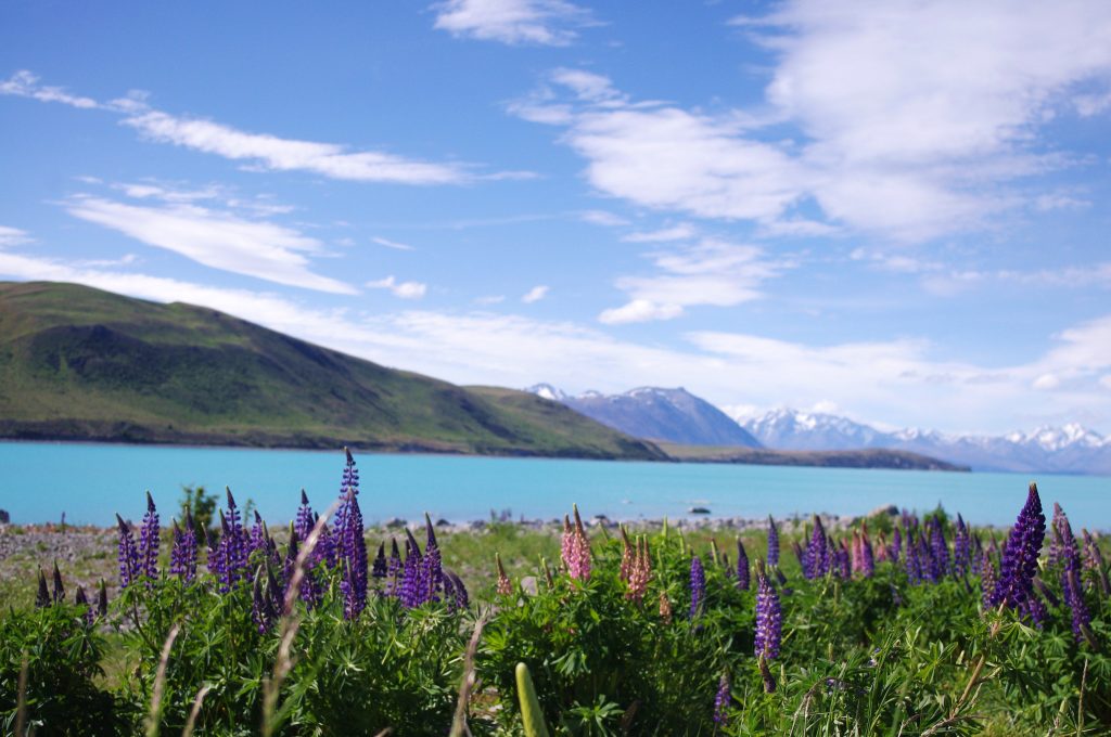 Lake Tekapo / Takapō