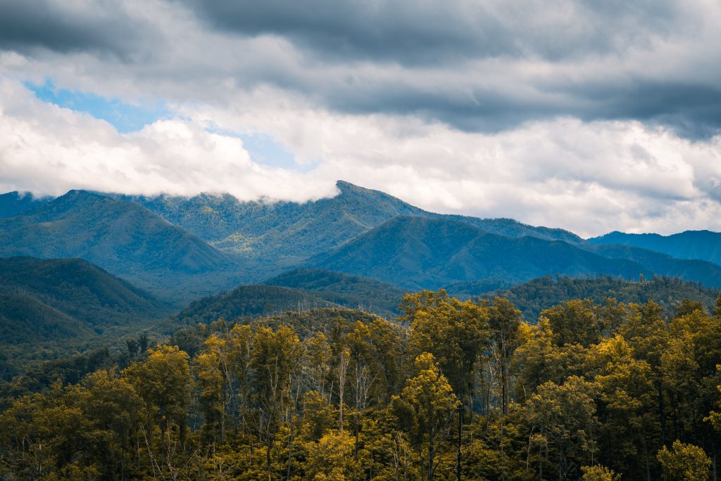 Elkmont, Great Smoky Mountains National Park