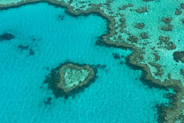 Outer Great Barrier Reef