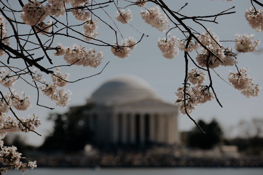 Washington DC
