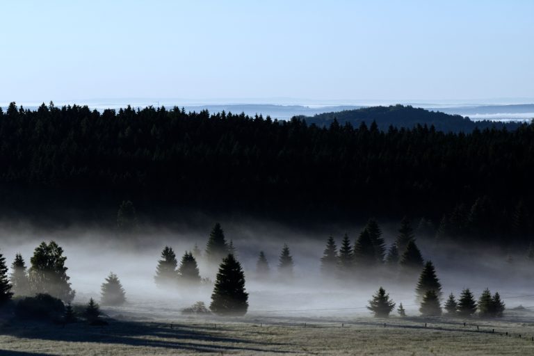 Šumava National Park