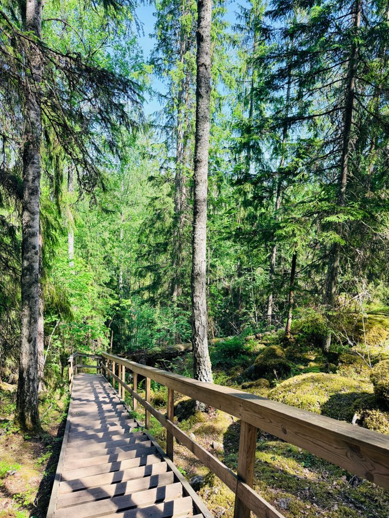 Nuuksio National Park