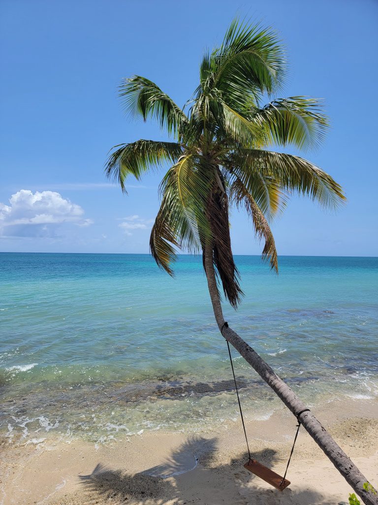 Mosquito Bay, Vieques
