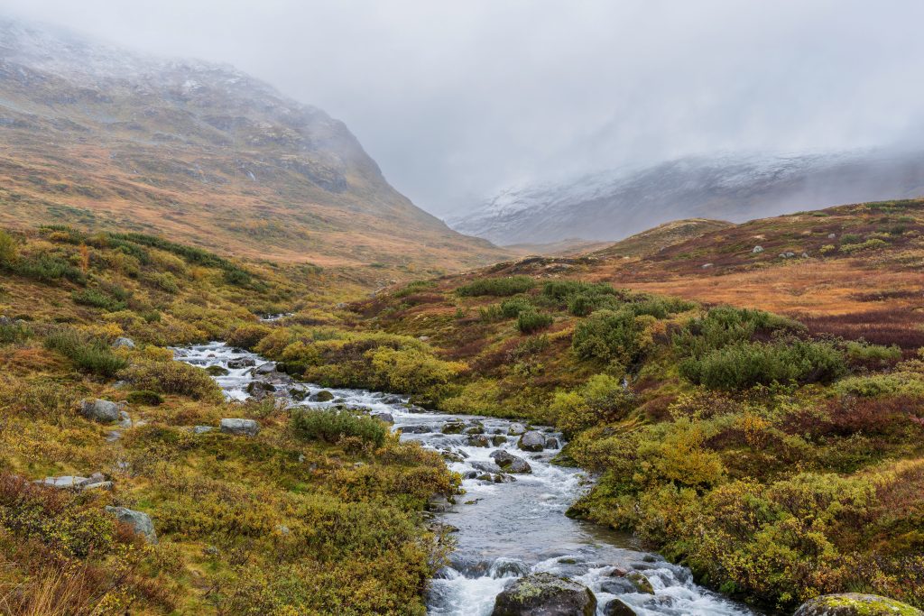 Highland Perthshire (Pitlochry)