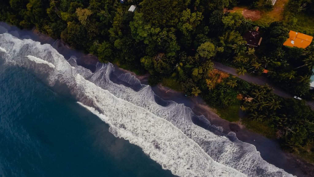 Guide de voyage de Puerto Viejo de Talamanca : Cahuita et les paresseux