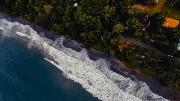 Guide de voyage de Puerto Viejo de Talamanca : Cahuita et les paresseux
