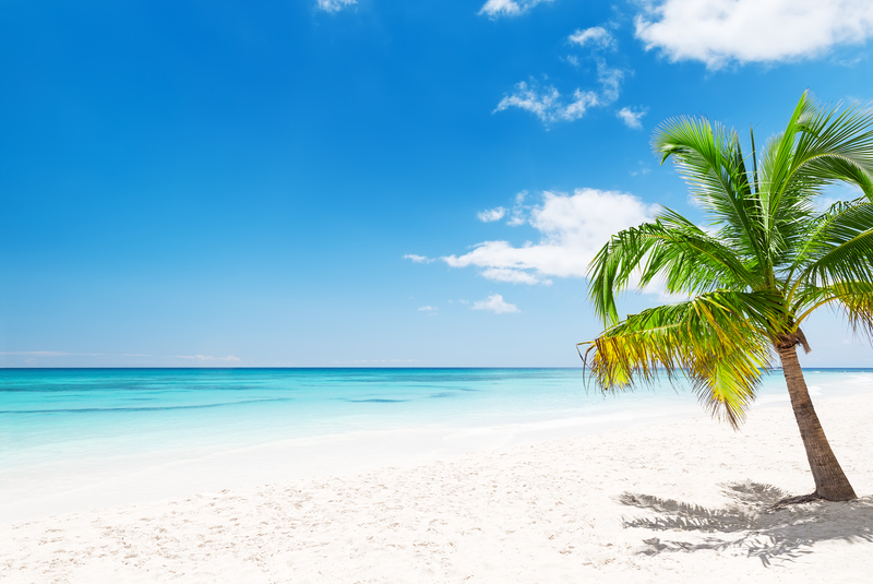 Punta Cana Beach View with Palm Tree and Cristal Water - Best Beach for Solo Trip