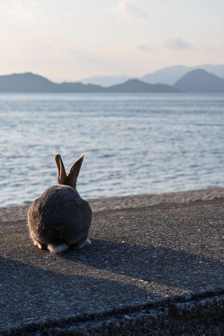 Okunoshima
