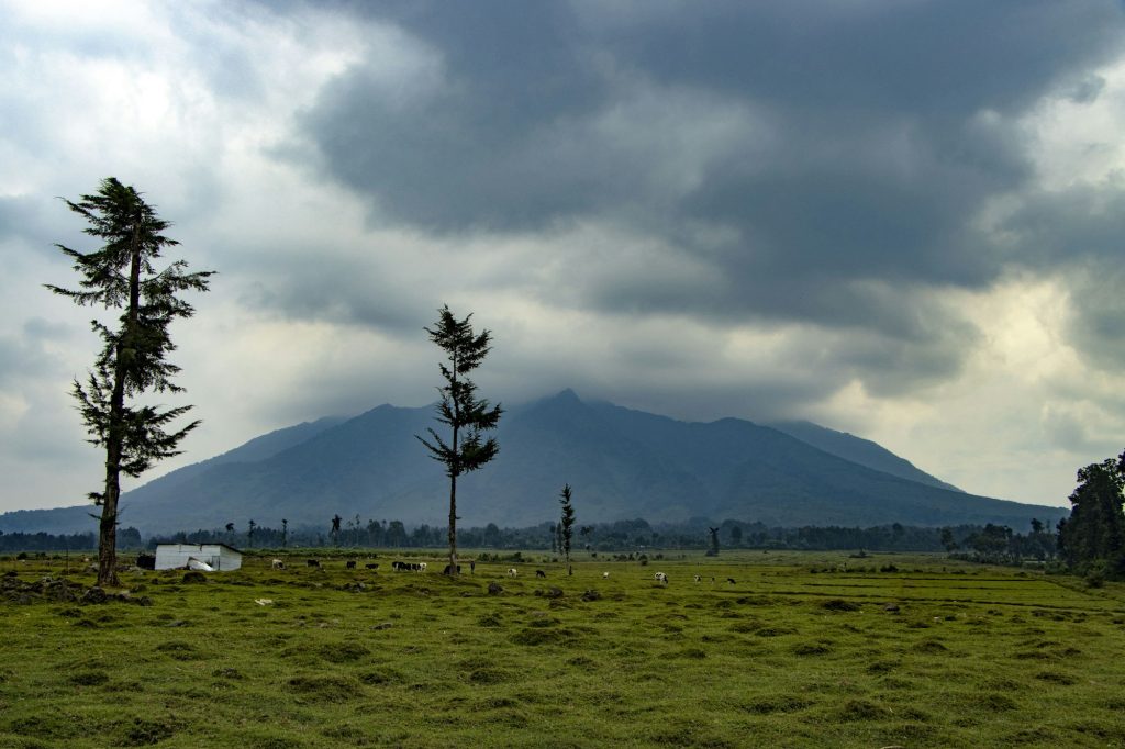 Musanze