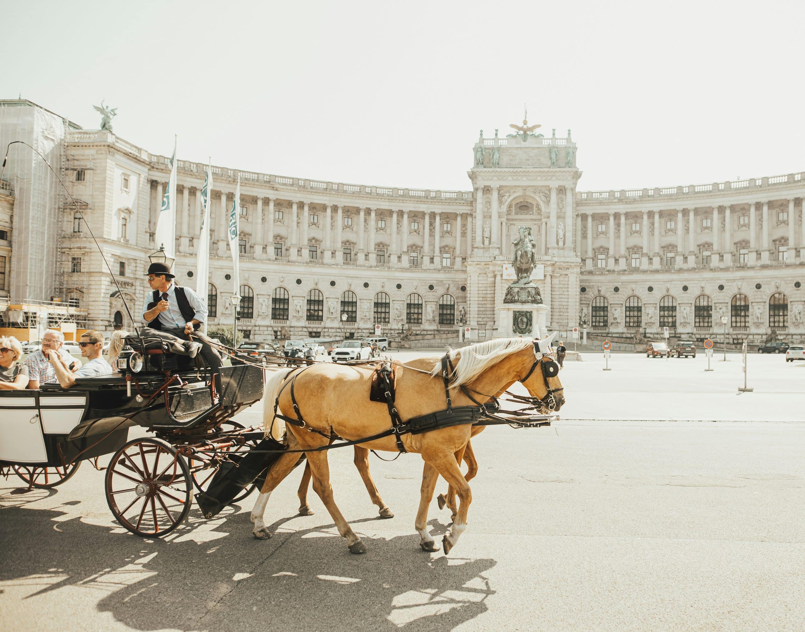 riding horse in vienna