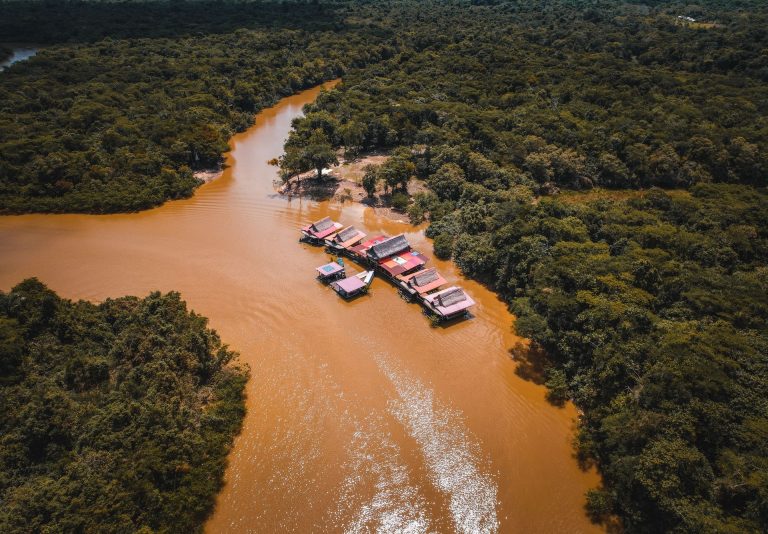 Jungle lodges