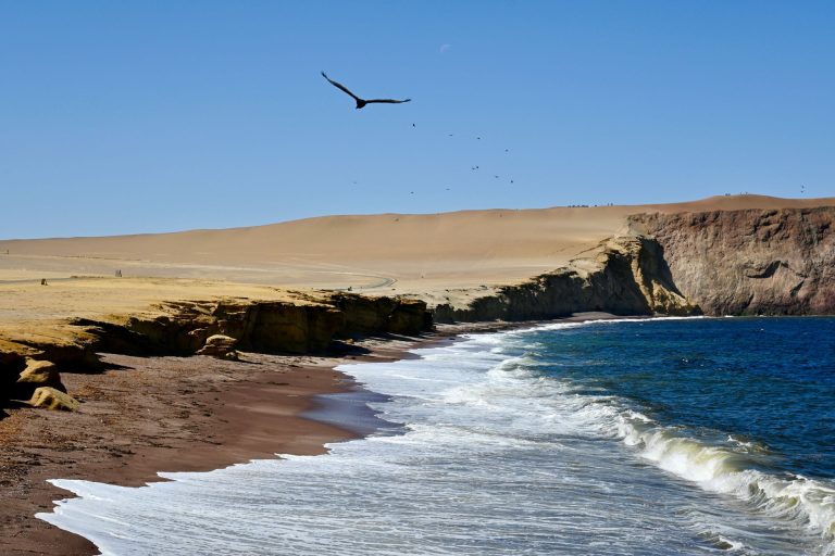 Paracas National Reserve