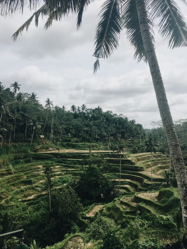 Ubud