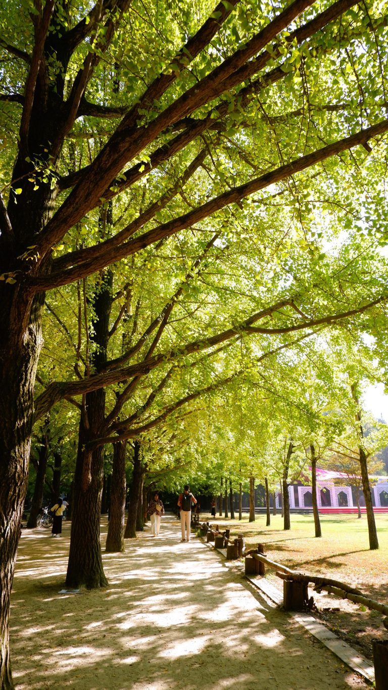 Nami Island