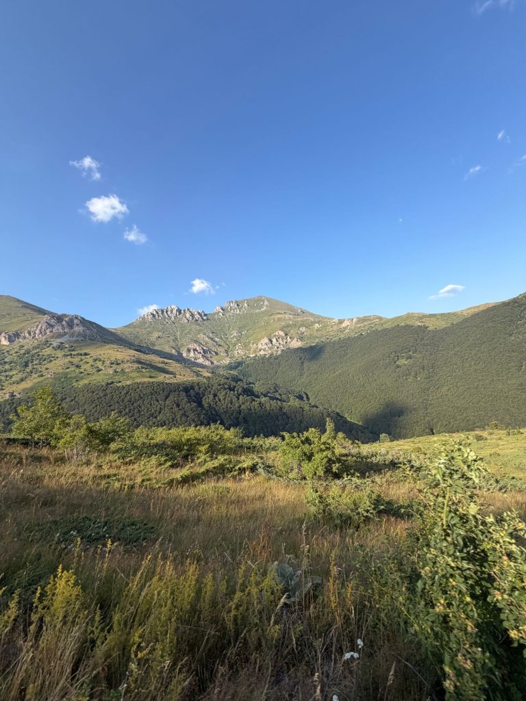 Sharr mountains