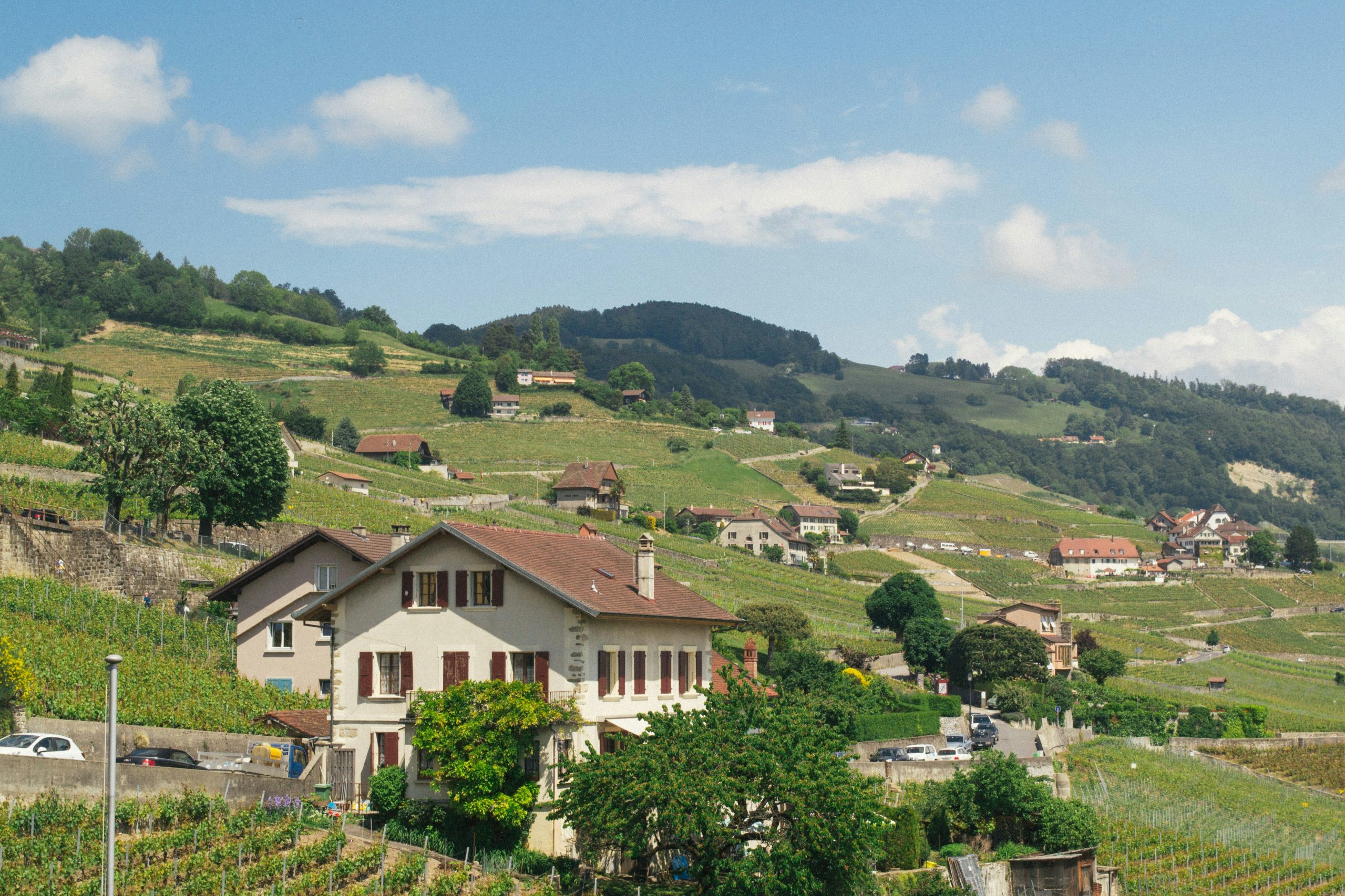 white and brown concrete houses on green grass field during daytime