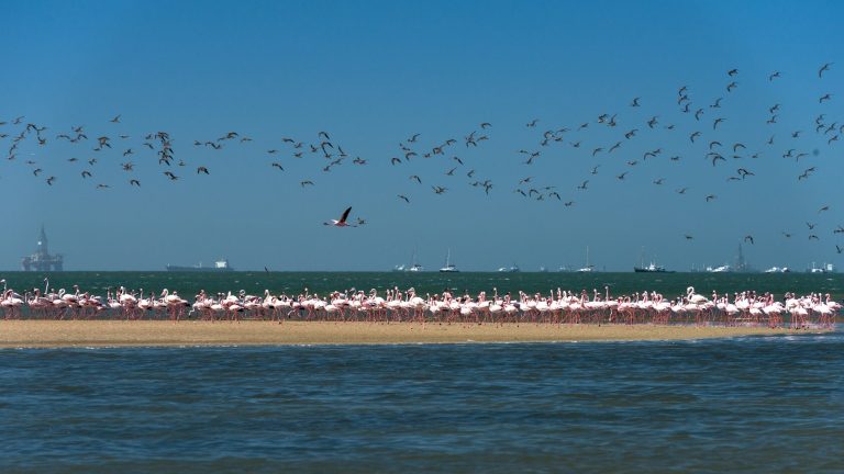 Walvis Bay lagoon and Pelican Point