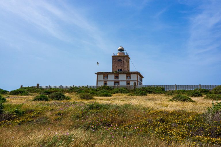 Tabarca