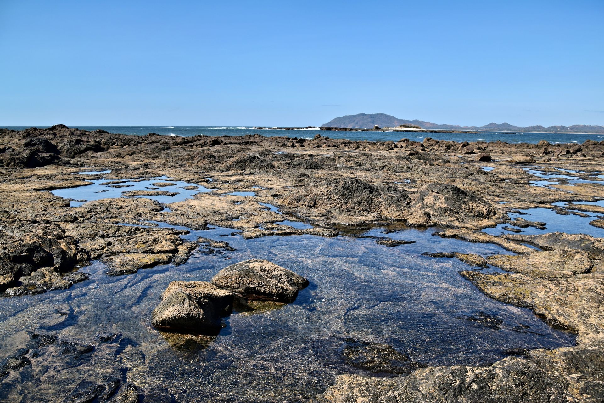 Tamarindo