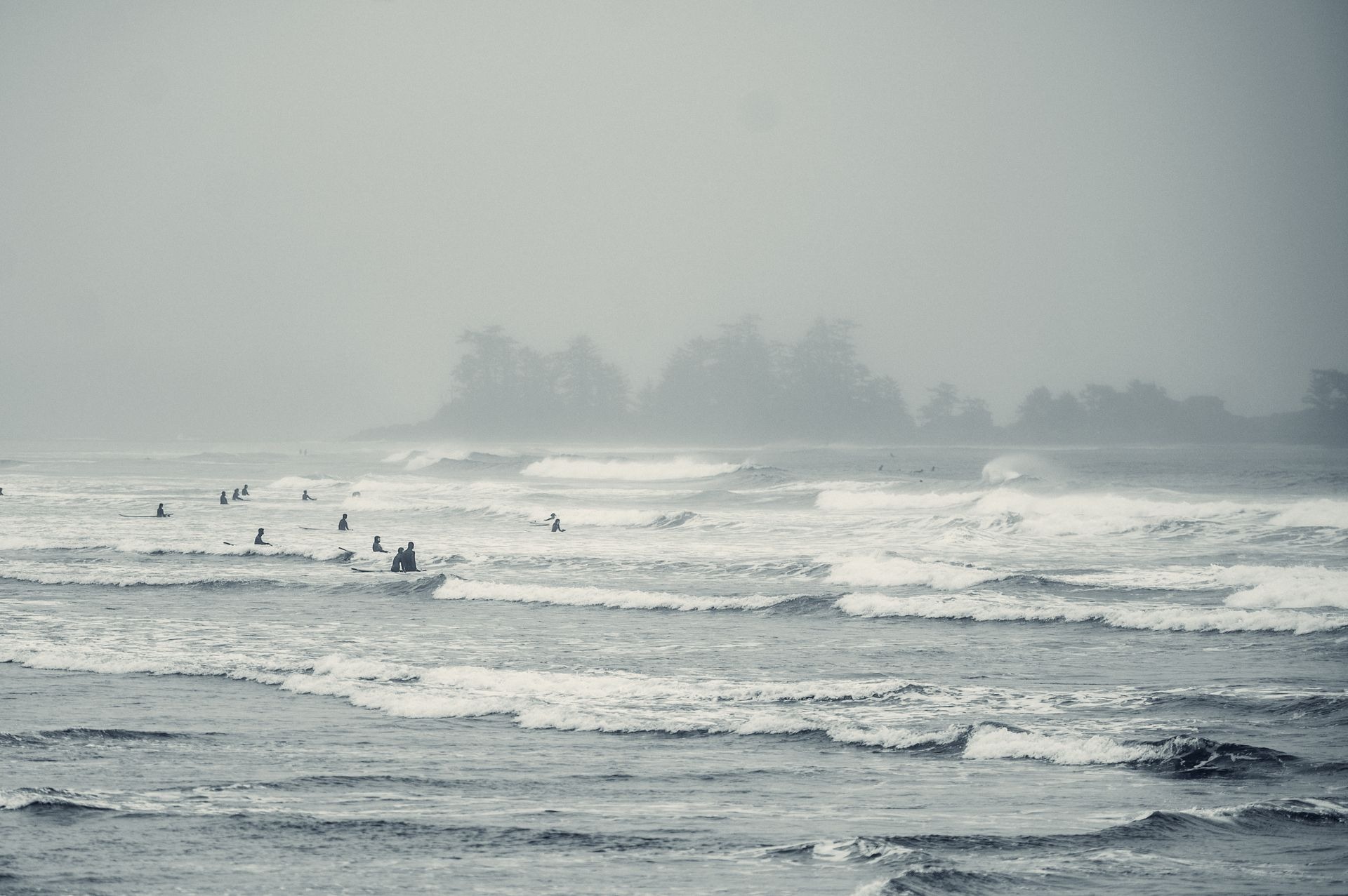 Tofino