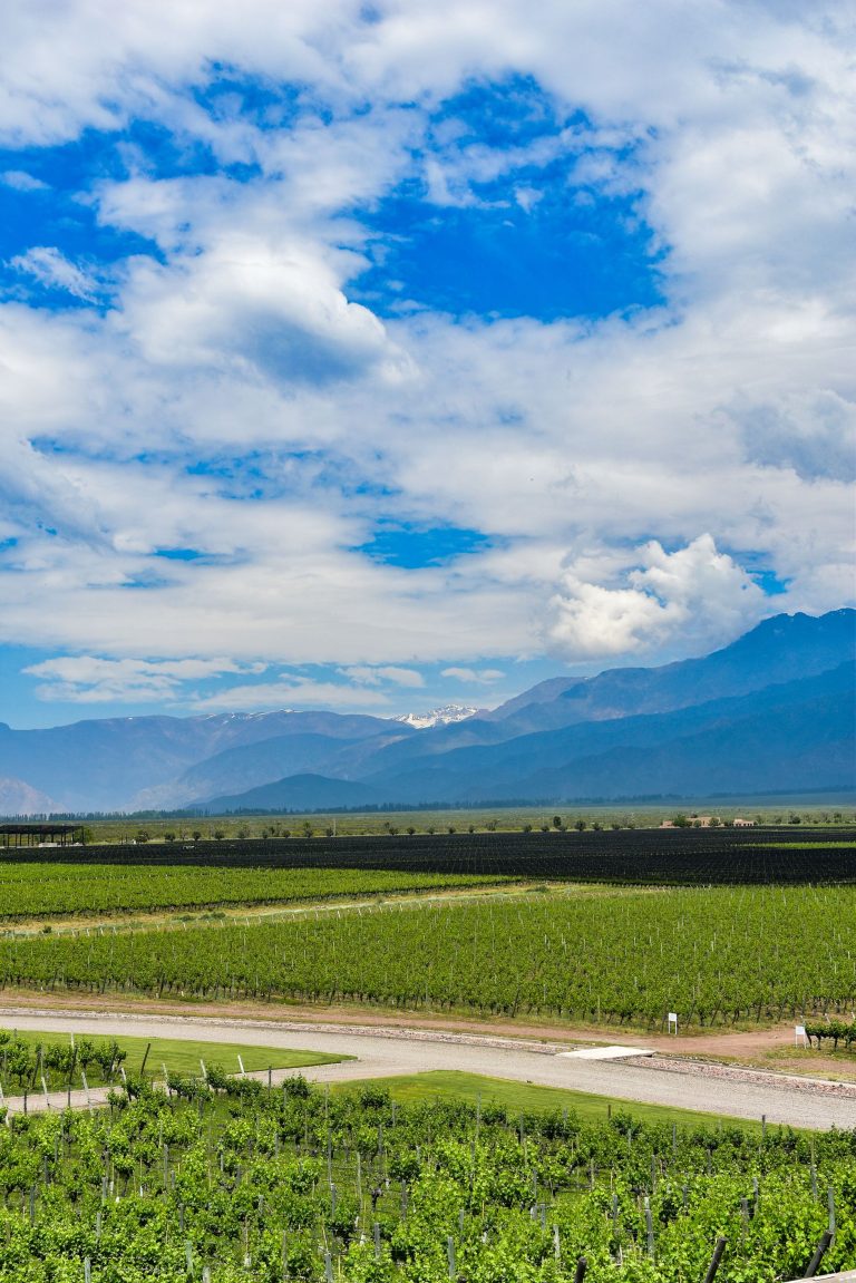 Uco Valley