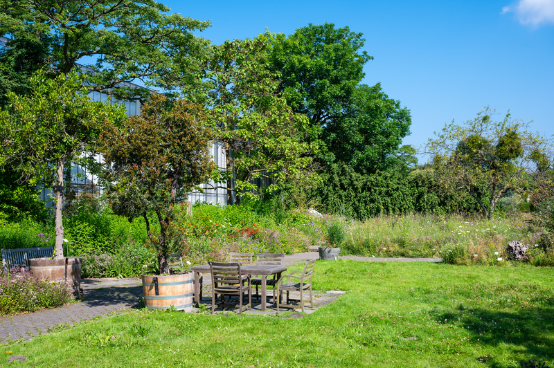 View of University Botanical Garden of Altona Hamburg Germany - Best Places to Visit in Hamburg