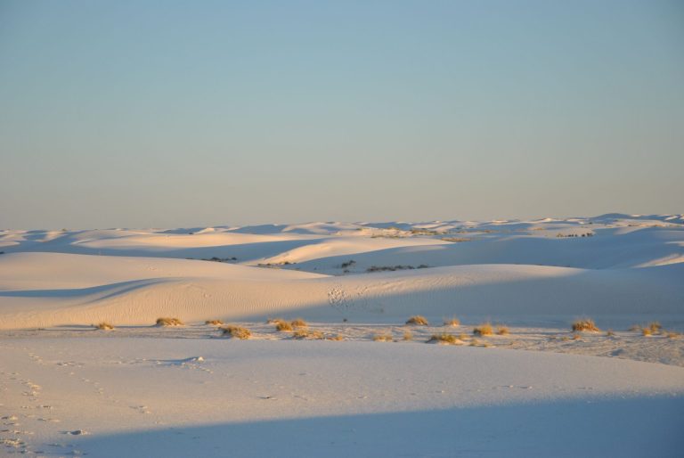 New Mexico
