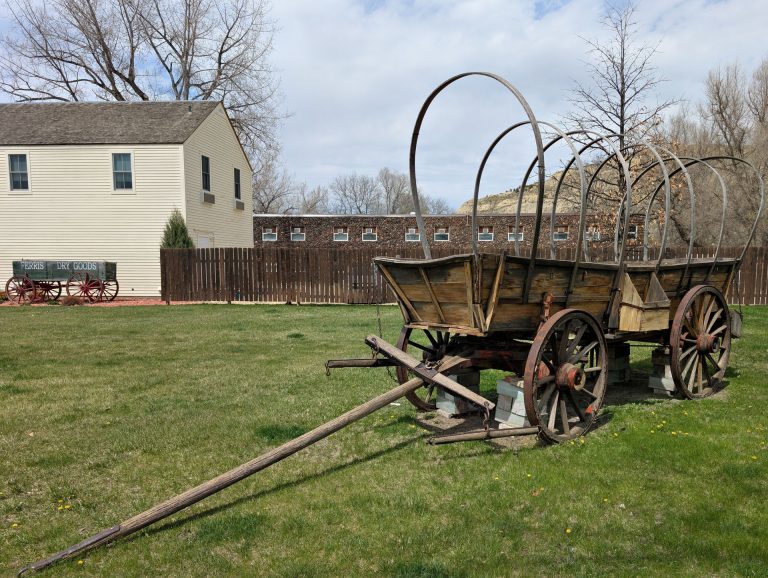 Medora