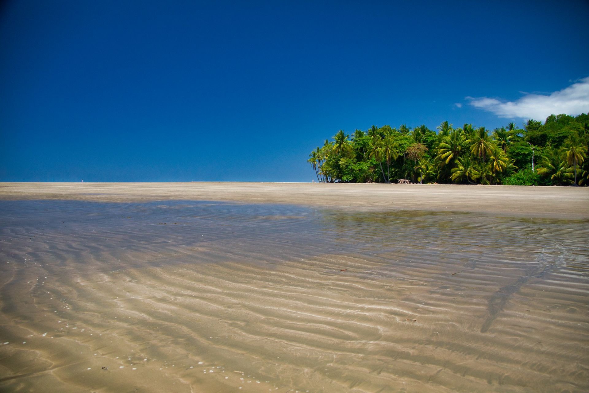 Uvita
