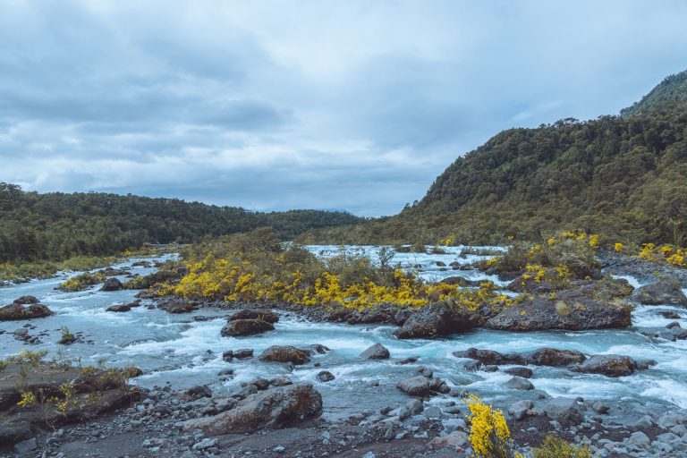 Vicente Pérez Rosales National Park