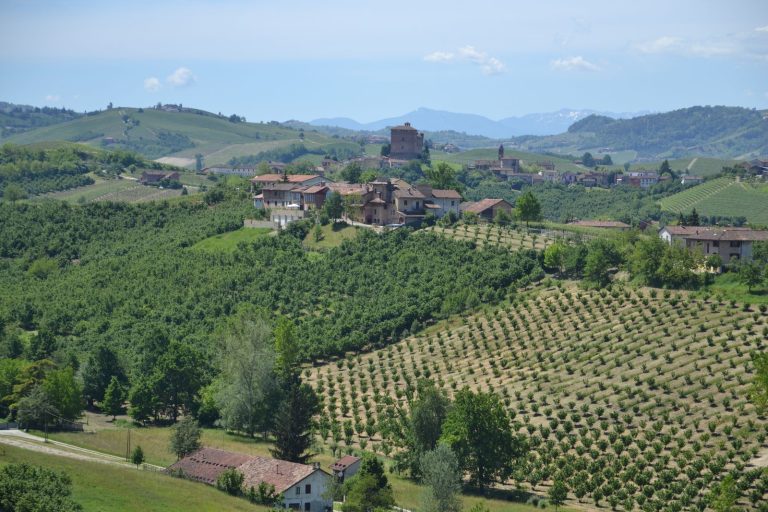The Langhe and Alba