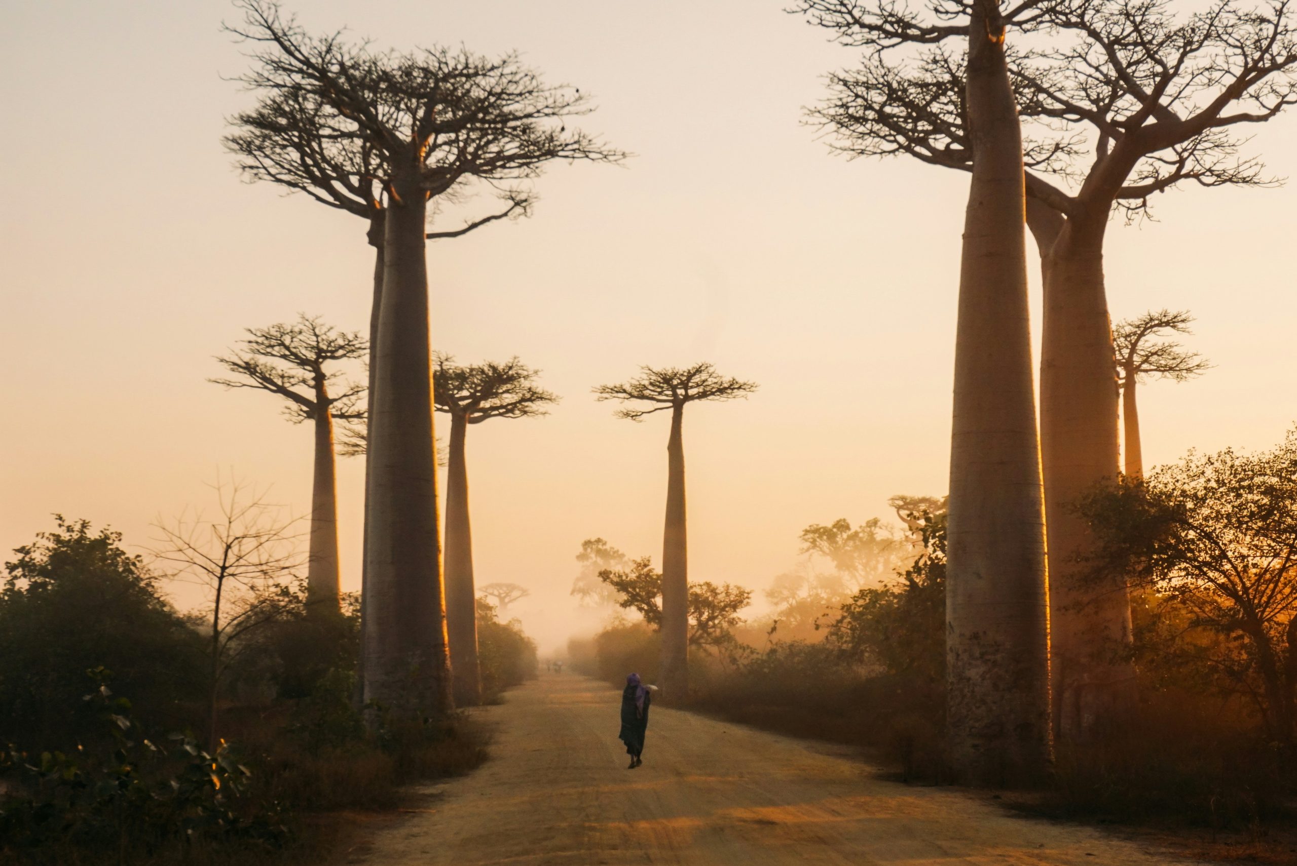 Morondava